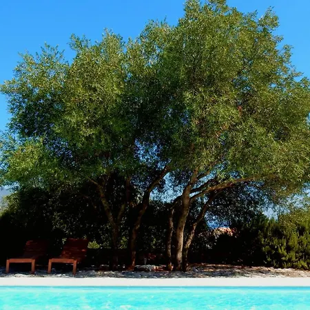 Villa Telina Ideales *